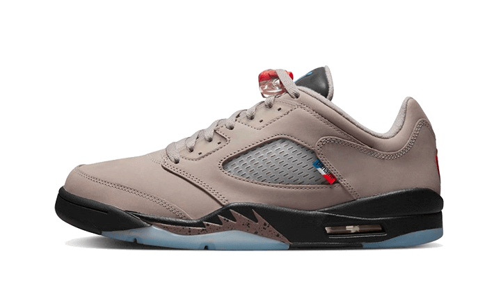 Air Jordan 5 Retro Low PSG 2022 DX6325 204 Graal Spotter