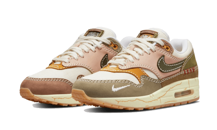 Nike Air Max 1 Wabi-Sabi - DQ8656-133
