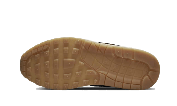 Nike Air Max 1 Wabi-Sabi - DQ8656-133