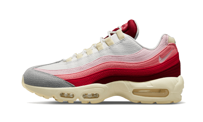 Nike Air Max 95 Anatomy of Air - DM0012-600