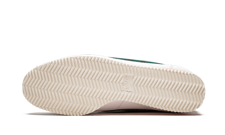 Nike Cortez Stranger Things Hawkins High School - CJ6106-100