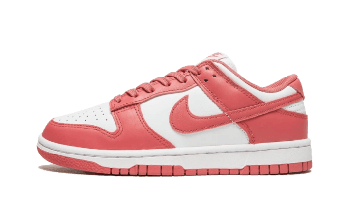 Nike Dunk Low Archeo Pink - DD1503-111