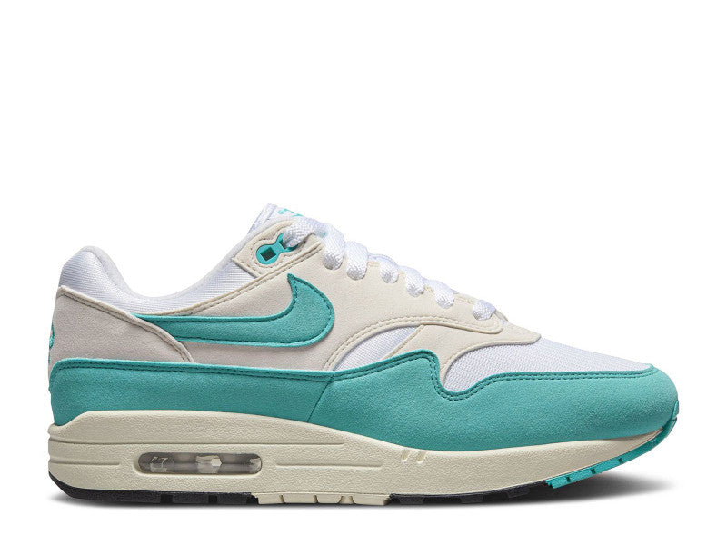 Nike Air Max 1 Dusty Cactus (W)