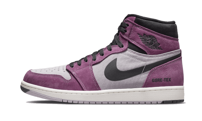 Air Jordan 1 High Element Gore-Tex Berry - DB2889-500