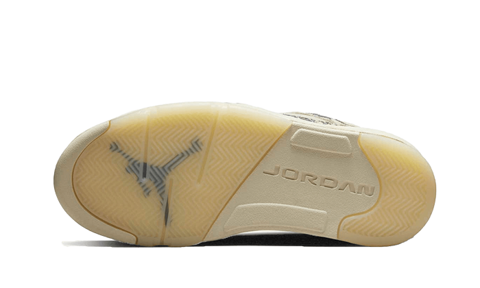 Air Jordan 5 Low Expression - DA8016-100