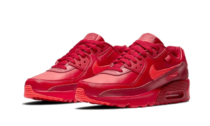 Nike Air Max 90 Chi-City Special - DH0146-600