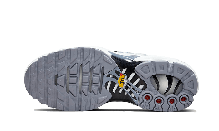 Nike Air Max Plus Sail Grey - FQ2892 100