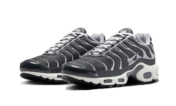 Nike Air Max Plus SE Greyscale Cool Grey - DZ2655-001