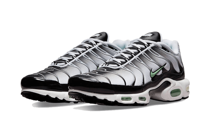 Nike Air Max Plus Seafoam Grey Black - DH4776-100