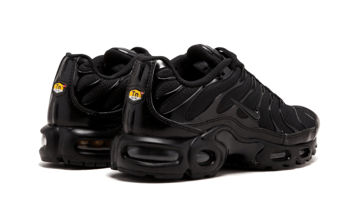 Nike Air Max Plus Triple Black - 604133-050