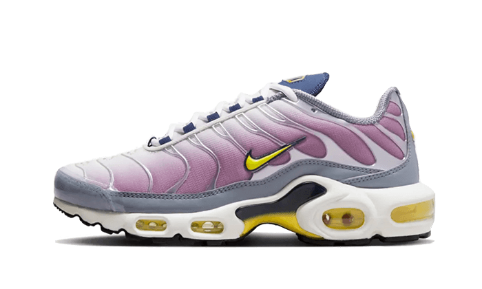 Nike Air Max Plus TN Sneakers Tendance pour Homme et Femme