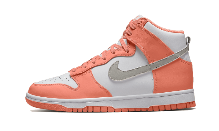 Nike Dunk High Salmon Grey - DD1869-600