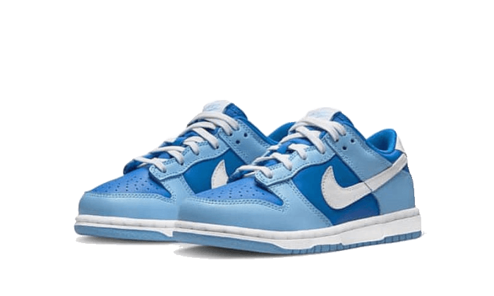 Nike Dunk Low Argon Enfant (PS) - DV2635-400