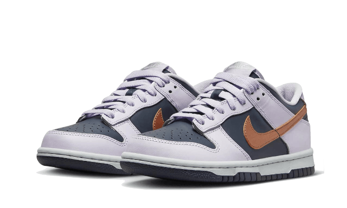 Nike Dunk Low SE Copper Swoosh - DX1663-400