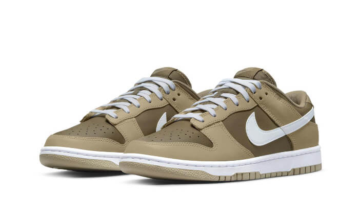 Nike Dunk Low Two Toned Brown - DJ6188-200