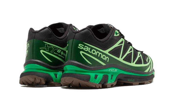 Salomon Advanced XT-6 Gore-Tex Eden Green Ash - L47292100